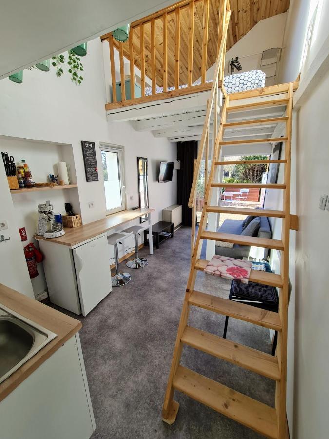 Studio Mezzanine Chez Papou, Ville Et Foret ستراسبورغ المظهر الخارجي الصورة