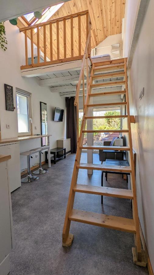 Studio Mezzanine Chez Papou, Ville Et Foret ستراسبورغ المظهر الخارجي الصورة