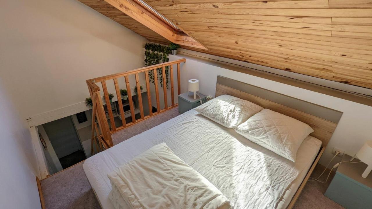 Studio Mezzanine Chez Papou, Ville Et Foret ستراسبورغ المظهر الخارجي الصورة